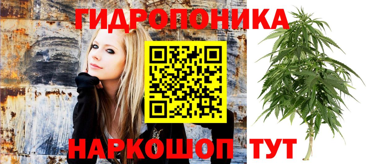 Бошки Шишки Bruce Banner Озёры